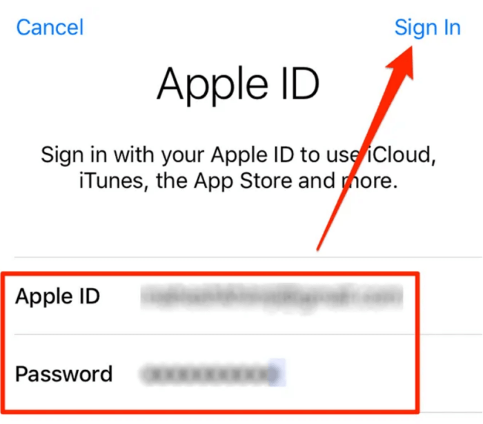 bạn nhập tên người dùng và mật khẩu Apple ID 